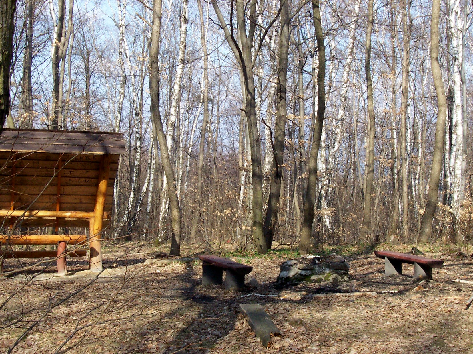 05 Furčianský les jar 2009